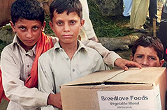 Three young boys holding box of Breedlove Food