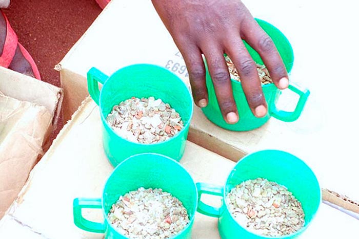 Serving portions of Breedlove food mixes being prepared. 